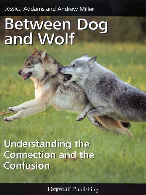 Cover image for Between Dog and Wolf
